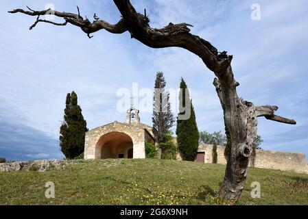 Chapel Saint-Sixte Framed by Gnarled Old Dead Olive Tree Trunk Eygalières in the Alpilles Provence France Stock Photo