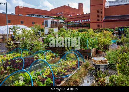 Story Garden London - a temporary community garden located in Somers Town Kings Cross  between the British Library and the Francis Crick Institute. Stock Photo