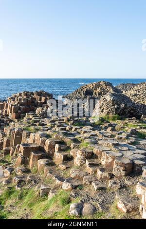 Basalt columns, The Giant's Causeway, Causeway Coast, near Bushmills, County Antrim, Northern Ireland, United Kingdom Stock Photo