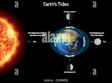 Diagram showing earth tides with earth and sun Stock Vector