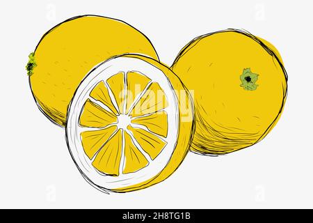 Lemons drawn by hand. Lemon in section handdrawn. Stock Vector