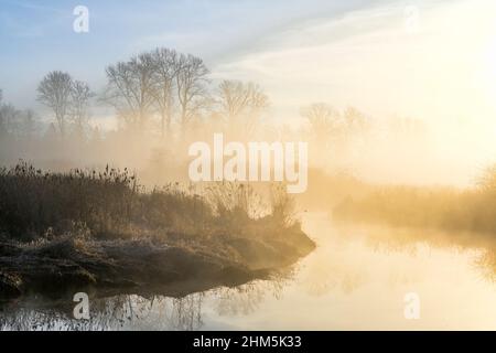 Still Creek, Burnaby Lake Regional Park, British Columbia, Canada Stock Photo