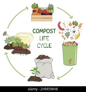 Compost life circle infographic. Composting process. Schema of recycling organic waste from collecting kitchen scraps to use compost for farming. Stock Vector