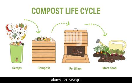 Compost life circle infographic. Composting process. Schema of recycling organic waste from collecting kitchen scraps to use compost for farming. Stock Vector