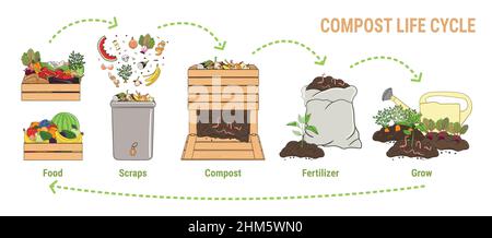 Compost life circle infographic. Composting process. Schema of recycling organic waste from collecting kitchen scraps to use compost for farming. Stock Vector