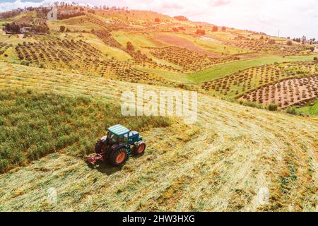 Aerial view, tractor mows grass for agriculture, livestock feed in the fields, meadows, hills. Stock Photo