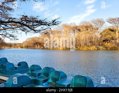 Garner State Park, Texas, with the Frio River and Turquoise Paddle Boats Stock Photo