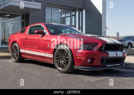 Brownsburg - Circa March 2022: Ford Mustang Shelby GT500 at a dealership. The Ford Shelby GT500 Mustang is equipped with a high-horsepower engine. Stock Photo