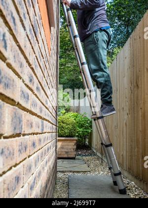 Aluminium tubular section telescopic access ladder fully extended  with man climbing to carry out a repair Stock Photo