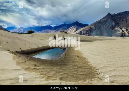 Sand dunes in Himalayas. Hunder, Nubra valley, Ladakh. India Stock Photo