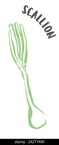 Green onion or scallion hand painted with ink brush isolated on white background Stock Photo