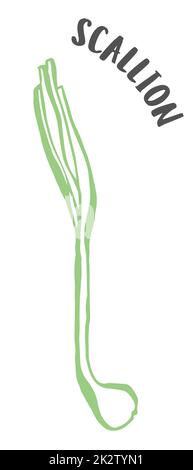 Green onion or scallion hand painted with ink brush isolated on white background Stock Photo