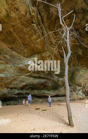 Logan, Ohio - Ash Cave at Hocking Hills State Park. The huge overhang is 700 feet long, 100 feet deep, and 90 feet high. It was used as shelter by Nat Stock Photo