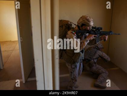 A United Arab Emirates soldier and a U.S. Marine with Headquarters Company, 3rd Light Armored Reconnaissance Battalion, 1st Marine Division, engage simulated enemy targets during a bilateral training mission on Marine Corps Air Ground Combat Center Twentynine Palms, California, Oct. 5, 2022. The training focused on developing the intelligence, surveillance, target acquisition, and reconnaissance capabilities of the UAE service members. (U.S. Marine Corps photo by Lance Cpl. Earik Barton) Stock Photo