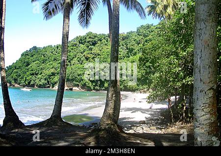 Anse Coulebre, Martinique Island, France Stock Photo