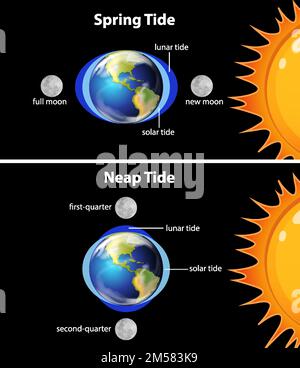 Diagram showing earth tides illustration Stock Vector