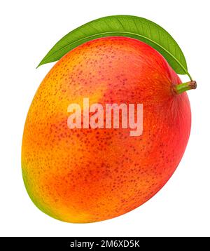 One whole mango fruit isolated on white background Stock Photo