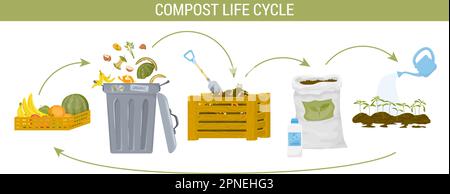 Compost composting flat infographic with compost life cycle description and steps of circle vector illustration Stock Vector