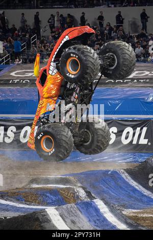 El Toro Loco driven by City Saucier in action during the free style competition. For the very first time Monster Jam debuts its Monster Truck championship series at the newly built SOFI stadium in Inglewood, California. The night consisted of a Pit party which allowed fans to meet and greet with the truck drivers and get a sense of how big and well built the trucks truly are. Following was the main event where competitors battled in three challenge competition, where drivers tried to accumulate the most points without destroying their vehicles. Stock Photo