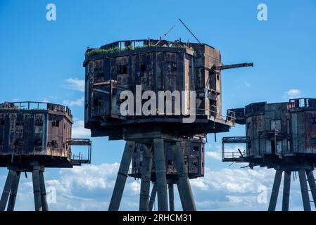 Whitstable, UK. 15th Aug, 2023. The Maunsell Forts seen with very serious structural defects and many of their parts fallen into the sea. Nowadays only the seagulls nest in them. The Maunsell Forts are armed towers built at the Thames and the Mersey Estuaries during the Second World War to defend the United Kingdom. They have been built 1942 - 1943 for anti-aircraft defense and to report to London about the German aircraft. They are all named after the designer Guy Maunsell. Credit: SOPA Images Limited/Alamy Live News Stock Photo