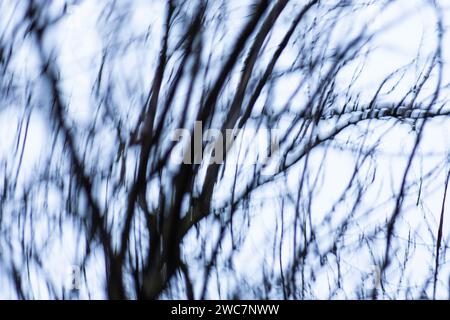 Blank black and light white blurred background. Silver black and white bokeh lights defocused. Stock Photo