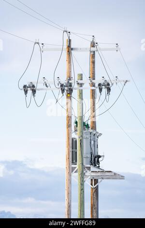 Wooden power poles standing tall against a blue sky with transformers and power lines in Rural Alberta Canada. Stock Photo