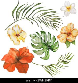 bright set of watercolor hibiscus flowers of palm branches and leaves. handmade watercolor illustration. isolated on a white background. for your desi Stock Photo