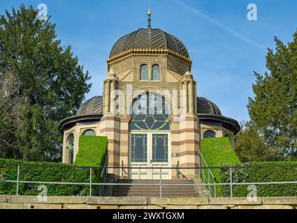 The magnolia blossoms in Wilhelma Stuttgard. Baden Wuerttemberg, Germany, Europe Stock Photo