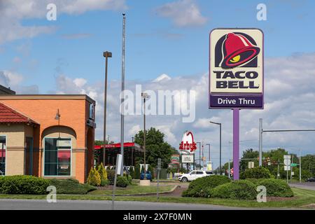 Bloomsburg, United States. 19th May, 2024. The logo for Taco Bell is seen on the sign outside of the fast food restaurant. Credit: SOPA Images Limited/Alamy Live News Stock Photo