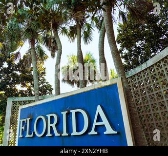 A striking blue 'Florida' sign nestled among tall palm trees and vibrant greenery, welcoming visitors to the Sunshine State Stock Photo