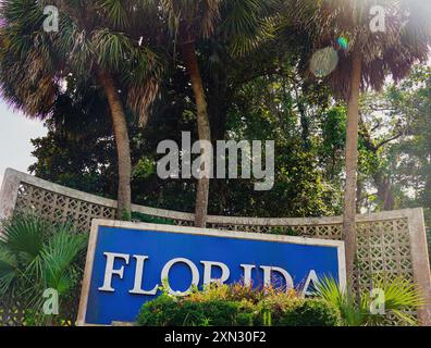 A striking blue 'Florida' sign nestled among tall palm trees and vibrant greenery, welcoming visitors to the Sunshine State Stock Photo