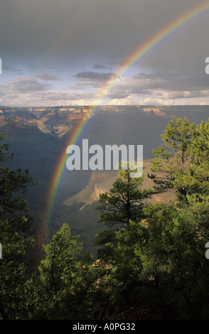 A rainbow spans the Grand Canyon viewed from the South Rim Grand Canyon National Park Arizona USA Stock Photo