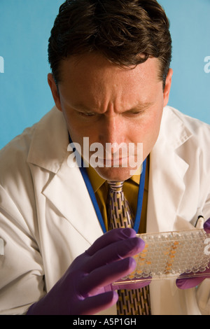 Researcher examines a microtiter plate in the lab. His research will help people live longer healthier lives. Stock Photo