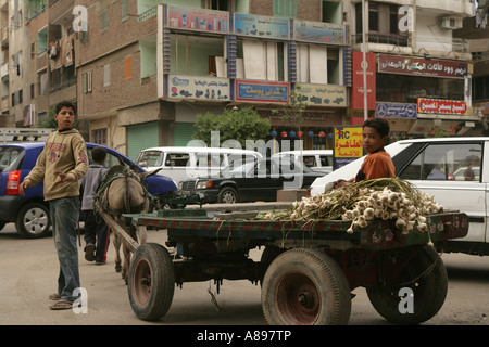 Young street vendors with donkey and cart of garlic in traffic, Cairo, Egypt Stock Photo