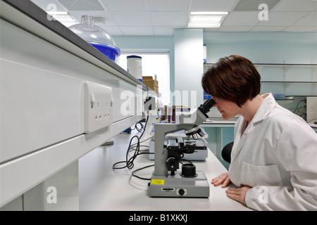 School of Clinical Dentistry in Sheffield Stock Photo