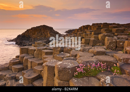 Giants Causeway north Antrim coastal path County Antrim Northern Ireland GB UK EU Europe Stock Photo