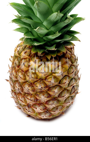 Close up photo of a Pineapple isolated on white Stock Photo