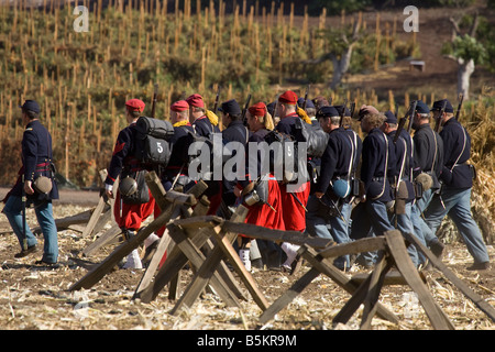 French Zouaves in American Civil War Stock Photo