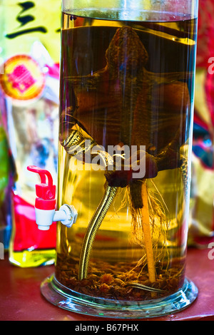 Close-up of ginseng in a bottle, Tai'an, Shandong Province, China Stock Photo