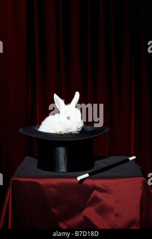 A rabbit in a top hat with a magic wand nearby Stock Photo