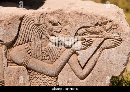 Dendera Greco Roman Temple Complex Egypt Egyptian Stock Photo