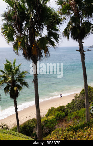 USA, California. Stock Photo