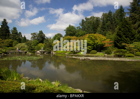 Seattle Japanese Garden koi pond. Stock Photo