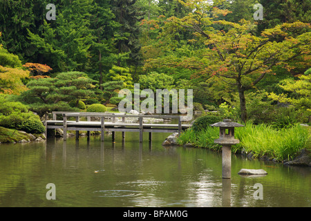 Seattle Japanese Garden koi pond. Stock Photo