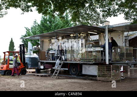 Wine bottling truck with mobile bottling line at Chateau Fontcaille Bellevue vineyard in Bordeaux region of France Stock Photo