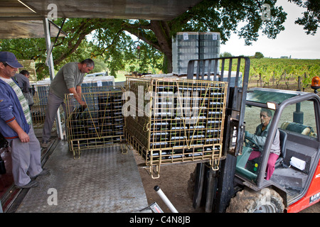 Wine bottling truck with mobile bottling line at Chateau Fontcaille Bellevue vineyard in Bordeaux region of France Stock Photo