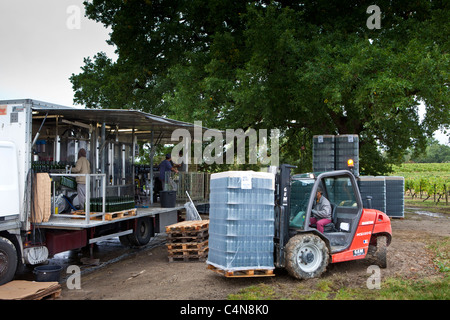 Wine bottling truck with mobile bottling line at Chateau Fontcaille Bellevue vineyard in Bordeaux region of France Stock Photo