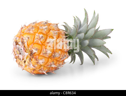 Baby pineapple isolated on white background Stock Photo