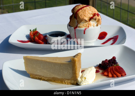 Brown Sugar Panna cotta Cheesecake & Bombe Alaska Stock Photo