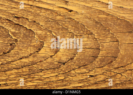 Macro view of the weathered pattern of some old wood siding. Stock Photo